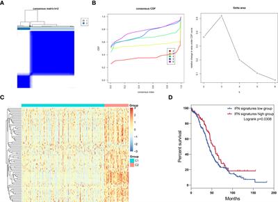 ISG20 stimulates anti-tumor immunity via a double-stranded RNA-induced interferon response in ovarian cancer